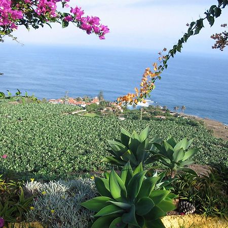 Residencia San Pedro Leilighet Los Realejos Eksteriør bilde